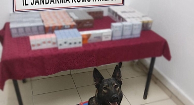 Adıyaman'da bandrolsüz sigaralara el konuldu