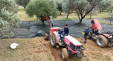 Kemalpaşalı Yunus Emre Kaya, Zeytin Toplama Makinesiyle İlçede Kolaylık Sağladı