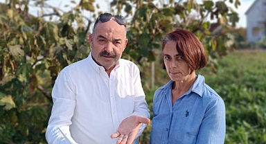 Karadağ'a yerleşme hayaliyle 325 bin eurolarından oldular