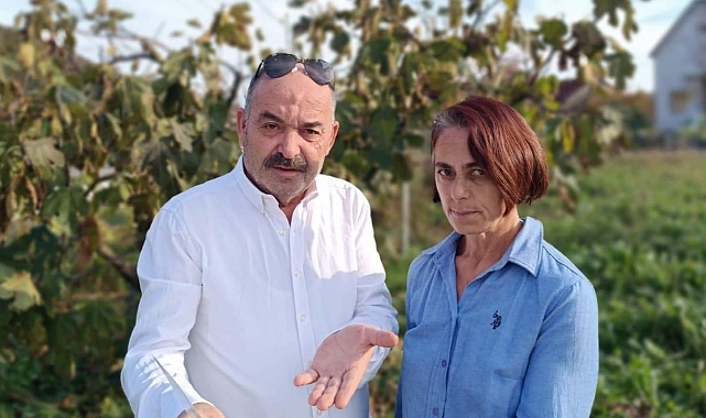 Karadağ'a yerleşme hayaliyle 325 bin eurolarından oldular